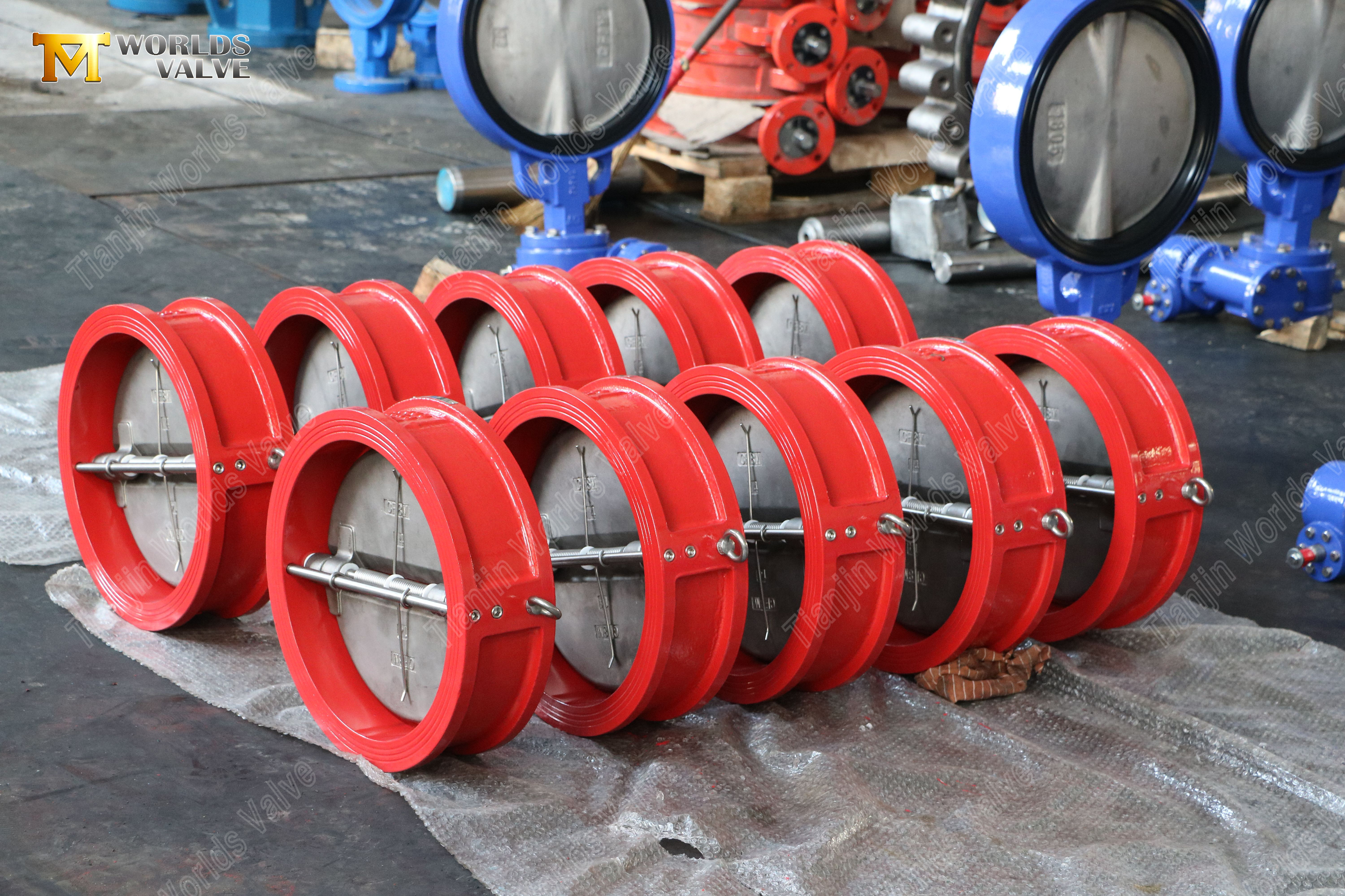 24-DN600-GGG40-Body-CF8M-Disc-Dual-Plate-Wafer-Check-Valve-PN10--Reliable-Valve-Supplier-3