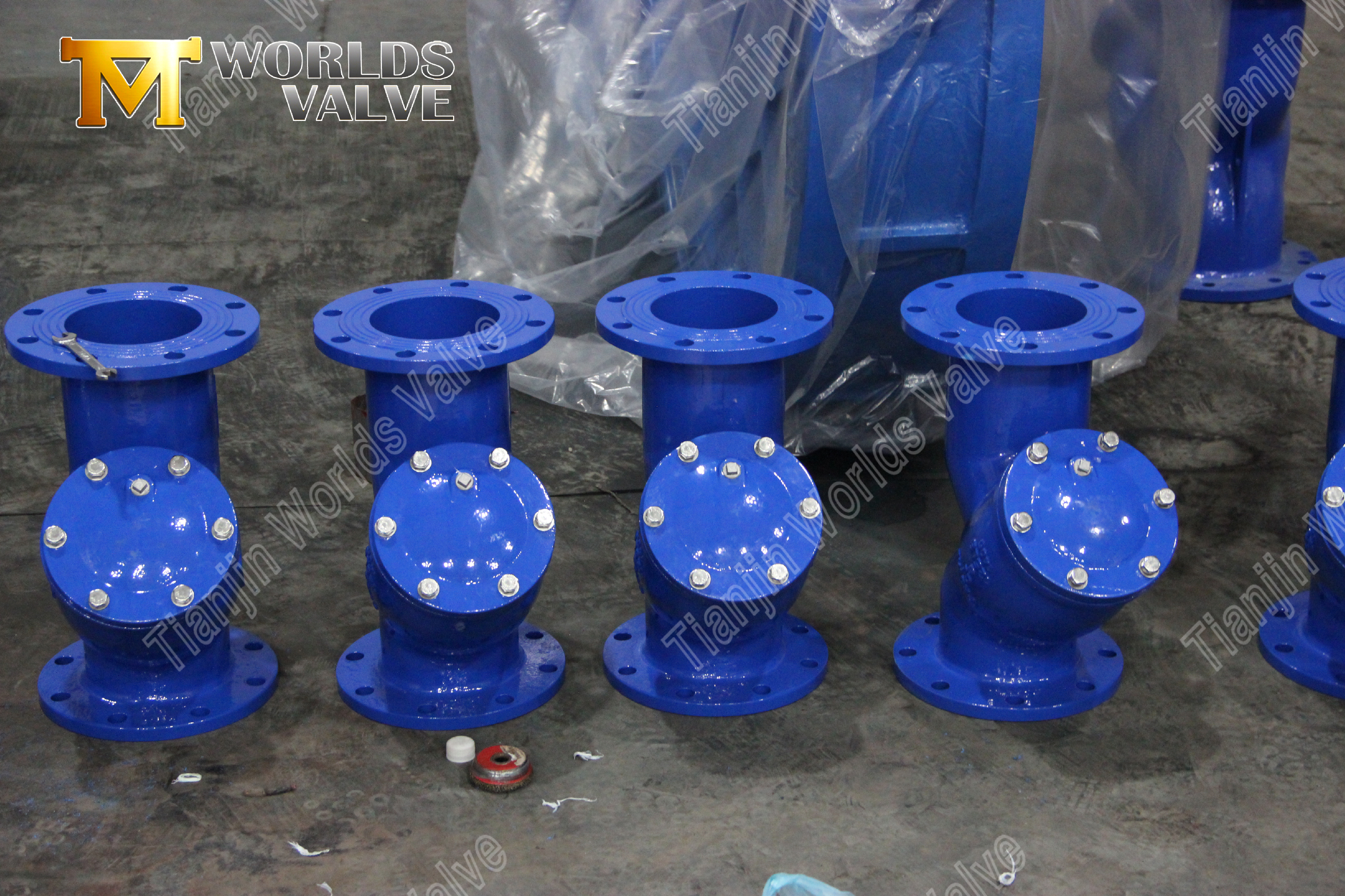 Protection industrielle de canalisation d'acier au carbone de cr&eacute;pine &agrave; bride de type Y WCB (7)