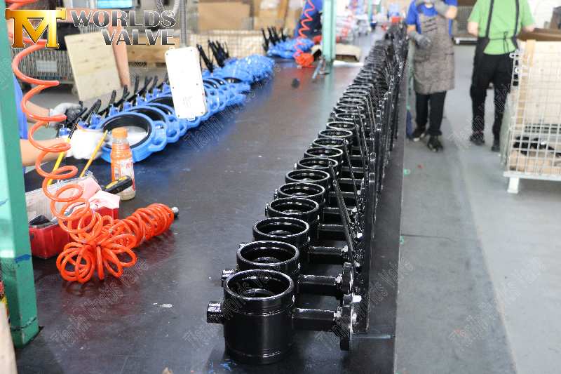 rainur&eacute;-end-wafer-butterfly-valve avec levier de main