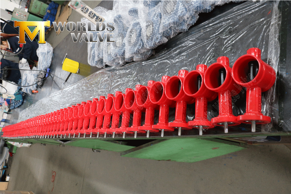 Valve de papillon &agrave; extr&eacute;mit&eacute; rainur&eacute;e pour la protection contre les incendies (2)