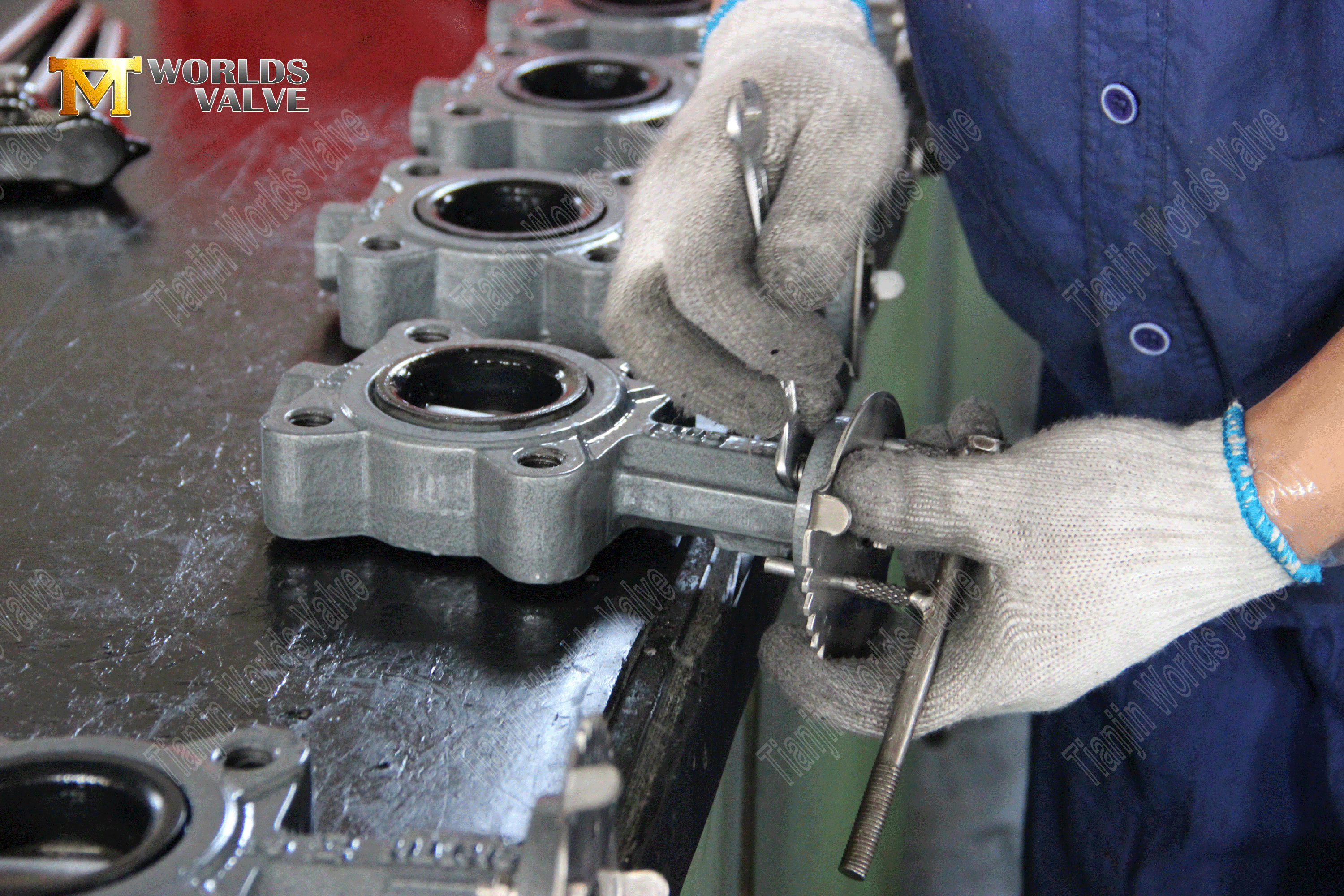 Vanne OEM ODM Fabricant-lug de style Resilient Souptins de papillons assis (5)