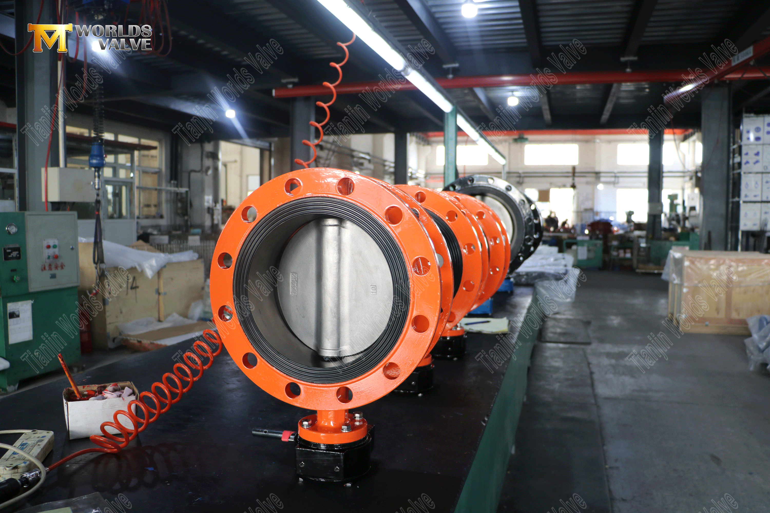 Fabricant chinois de vanne papillon – Corps en fonte ductile et disque duplex en acier inoxydable-2 (1).png