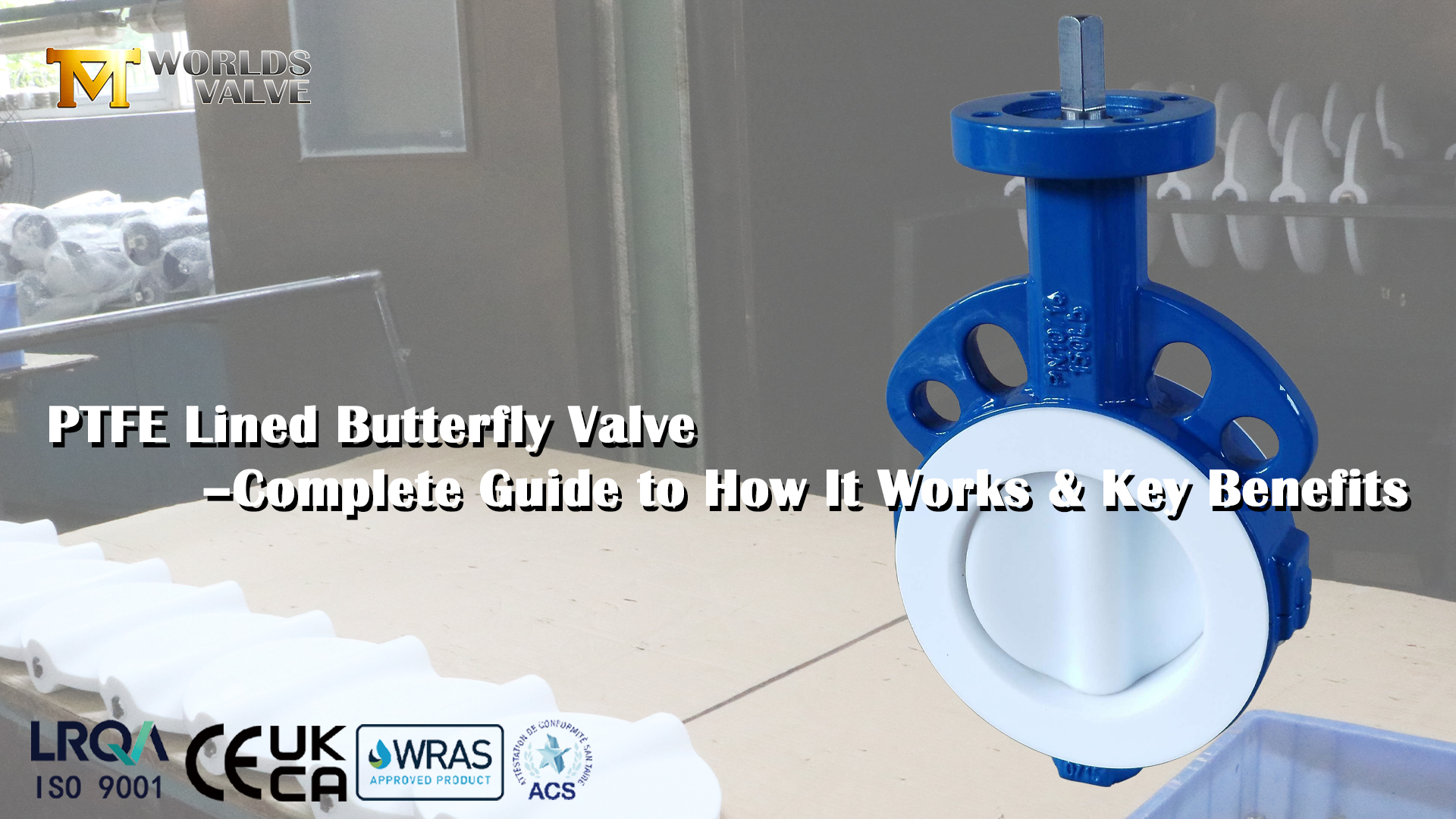 Vanne papillon revêtue de PTFE – Guide complet de son fonctionnement et de ses principaux avantages