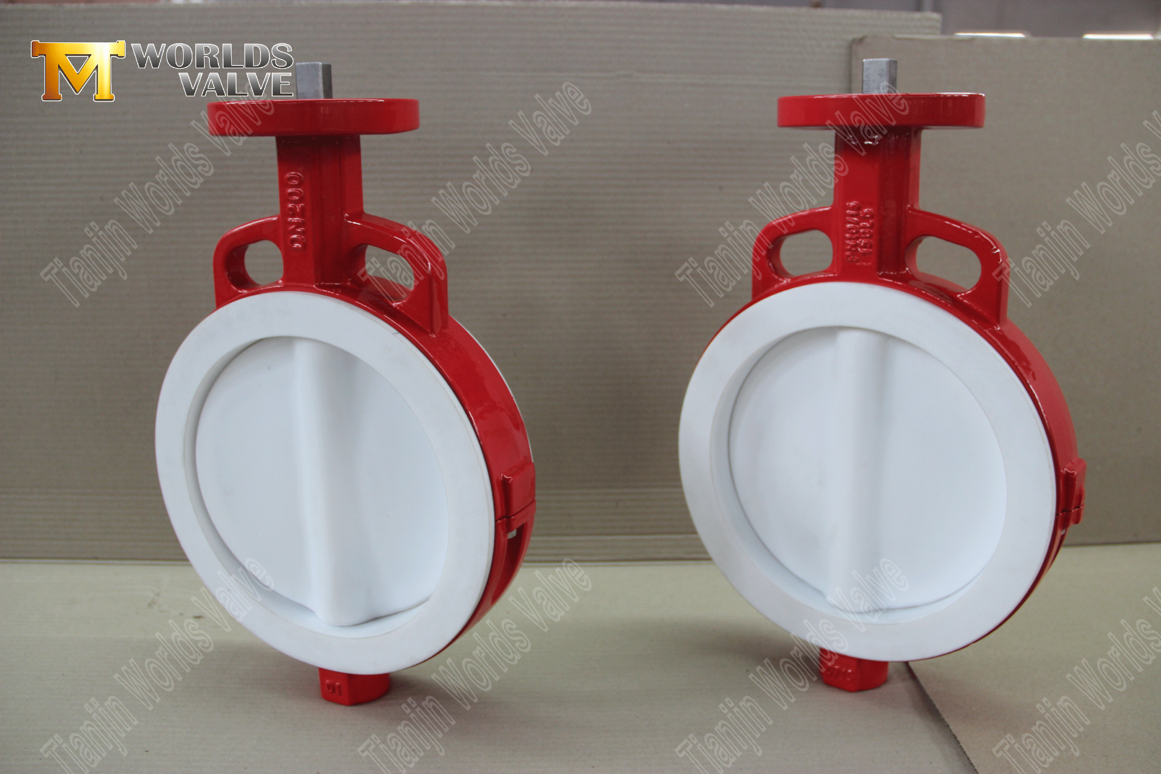 Vanne papillon &agrave; plaquette de PTFE – Disque encapsul&eacute; en PTFE, classe 150, fabricant OEM (2).png