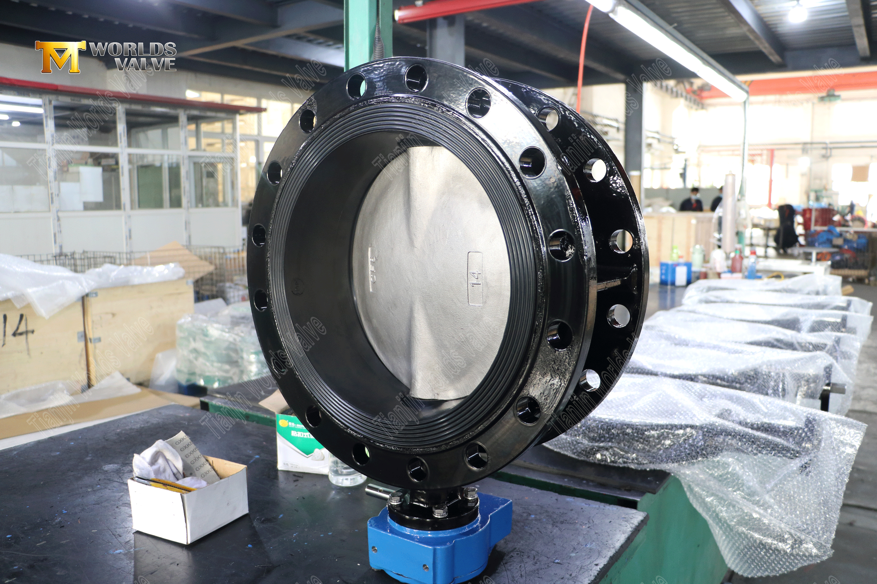 Fabricant chinois de vanne papillon – Corps en fonte ductile et disque duplex en acier inoxydable-2 (2).png