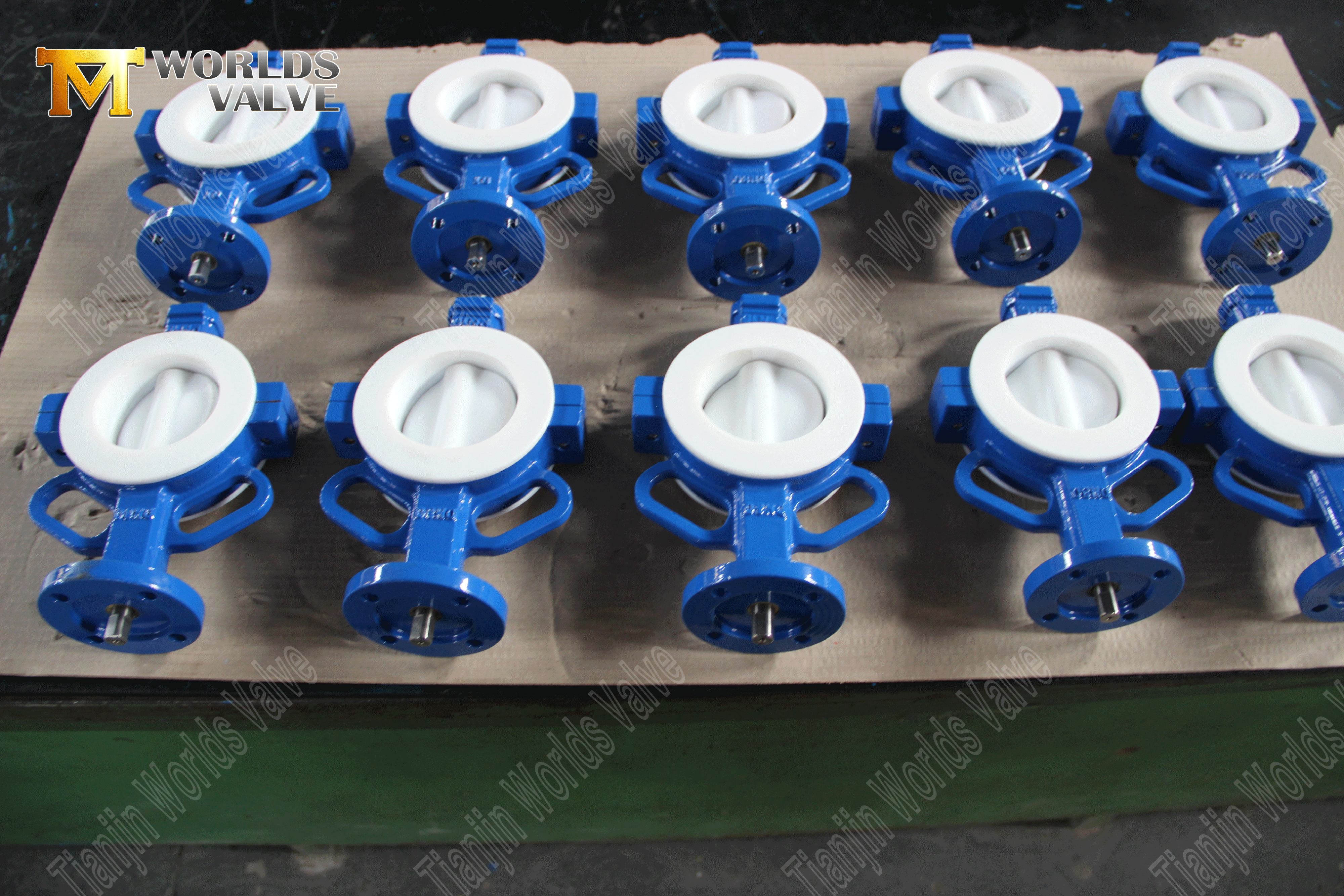 Vanne papillon &agrave; plaquettes en PTFE – Disque encapsul&eacute; en PTFE, classe 150, fabricant OEM (1).png