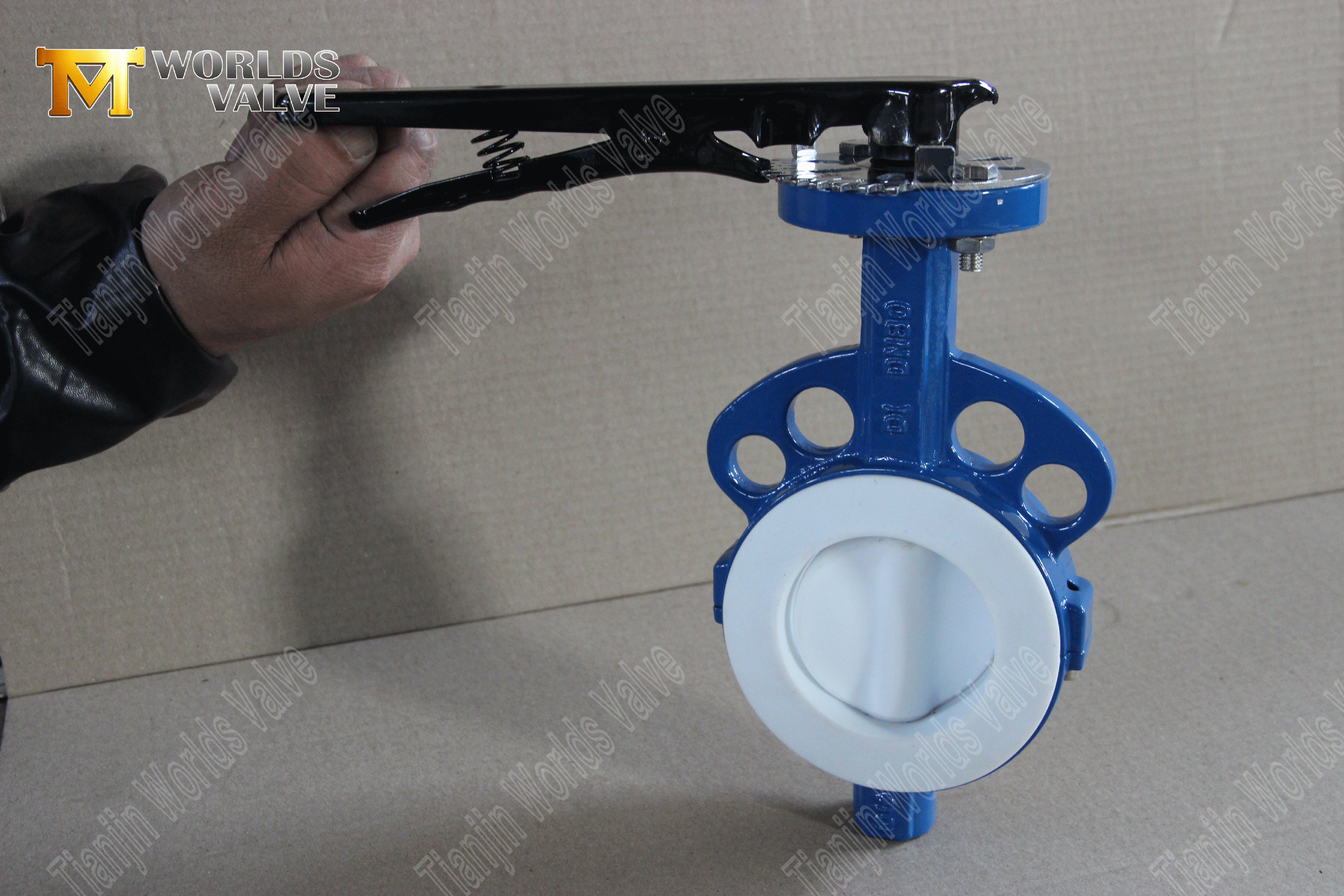 Vanne papillon &agrave; plaquettes en PTFE – Disque encapsul&eacute; en PTFE, classe 150, fabricant OEM (3).png