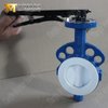 Vanne papillon à plaquettes en PTFE – Disque encapsulé en PTFE, classe 150, fabricant OEM