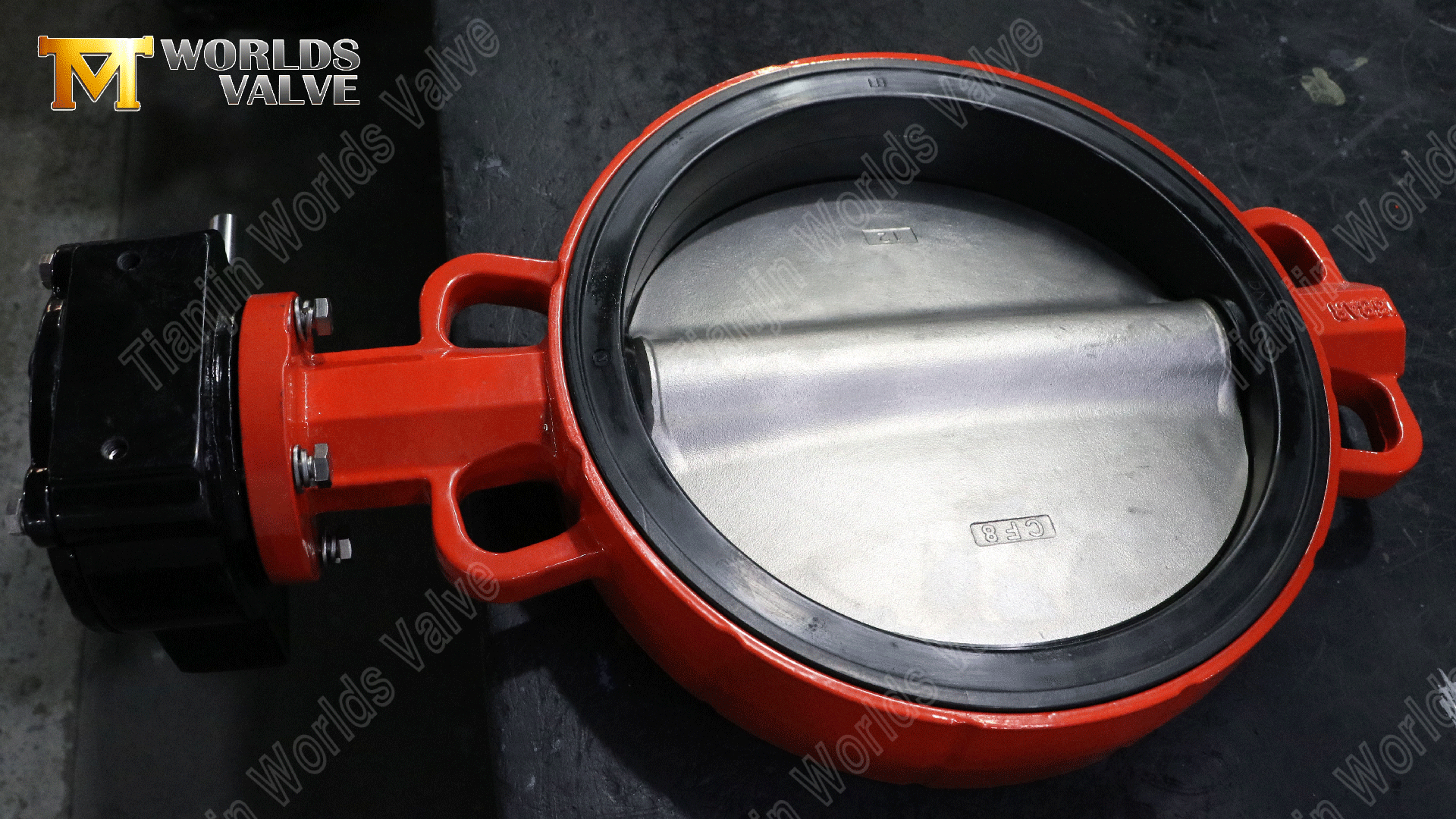 Vanne papillon à plaquettes | Corps DI | Disque CF8 | Siège EPDM remplaçable | Personnalisation OEM